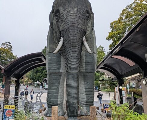 2025ファミリー・イベントin「多摩動物公園」を開催！